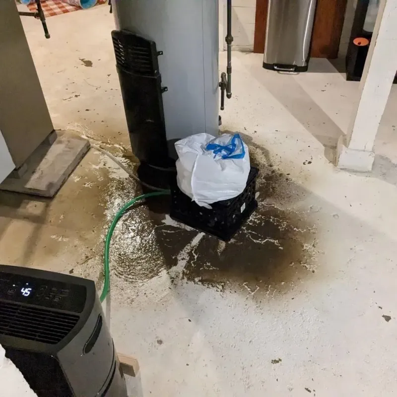 Sewage Backup Cleanup Service in Hardwick, MA